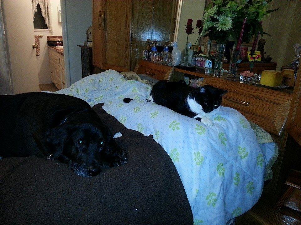 My bed fellows. ...