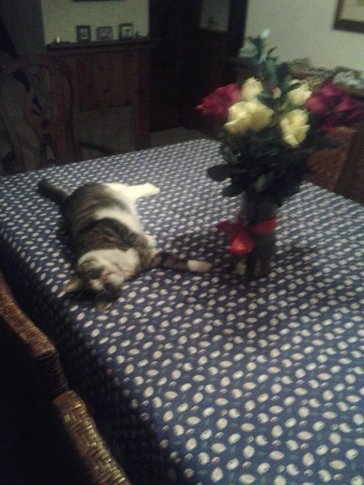 Somebody likes St. Valentine's Day.