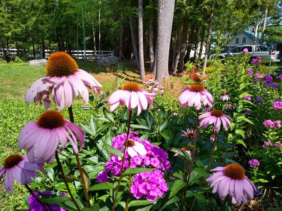 Nancy Bergerson's album, Mobile Uploads