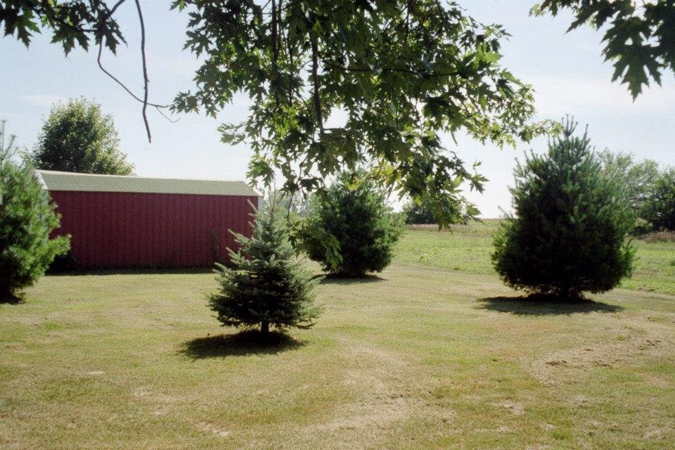 Tim Pertler's album, Middletown