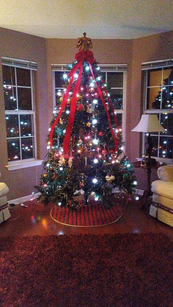I finally finished decorating the Xmas Tree!!