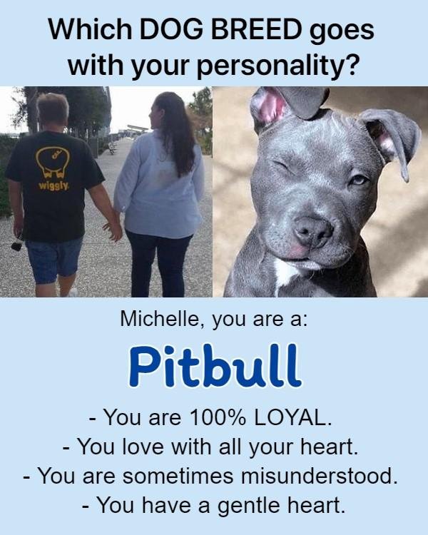 Michelle Myhrvold's album, Timeline Photos