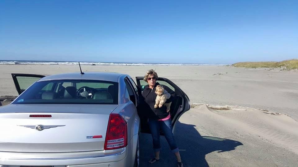 Beautiful day at the beach