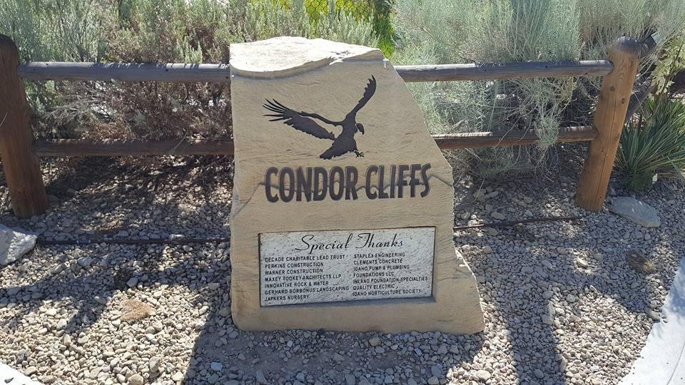 Today we stopped at a Birds of Prey center and they had California Condors. Oh so awesome and regal.See where the native Americans called them Thunder Birds.
