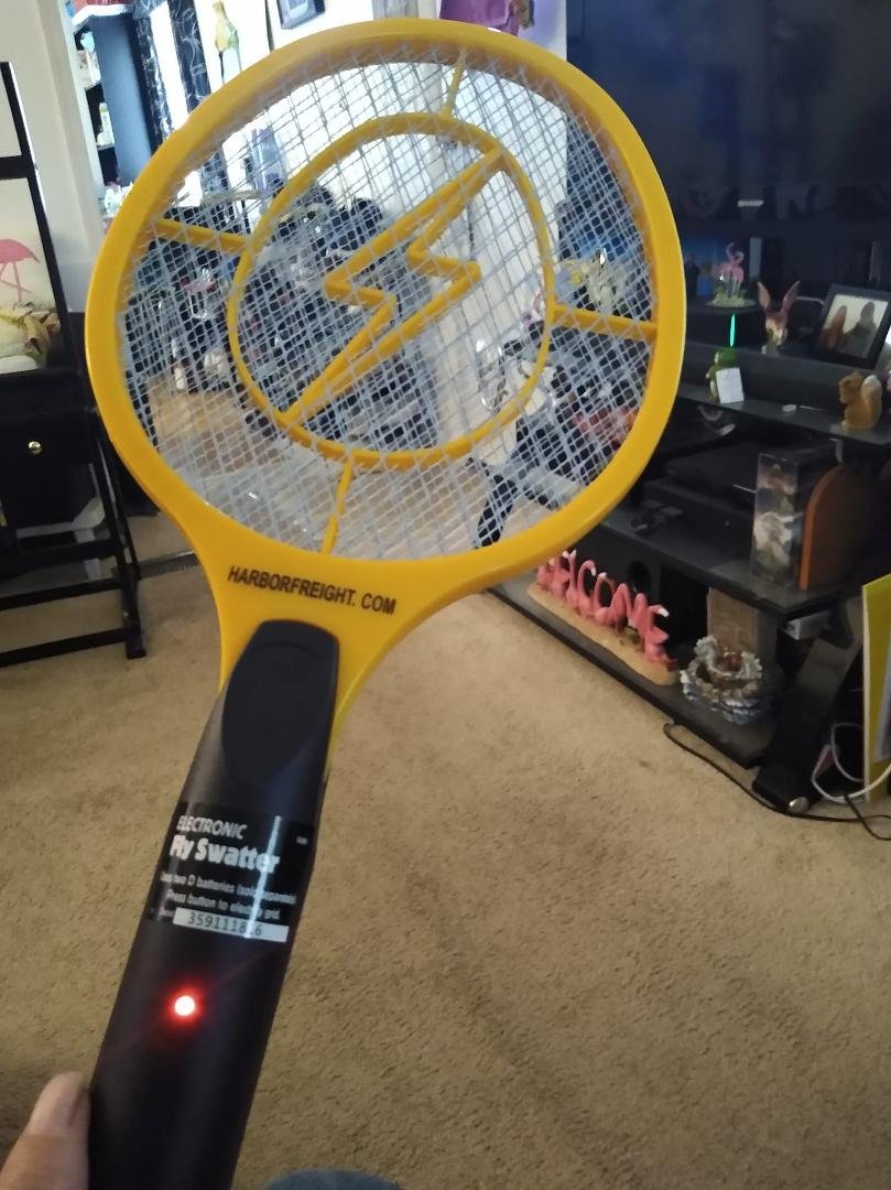 Finally ... A Sport I Can Do During Quarantine !!