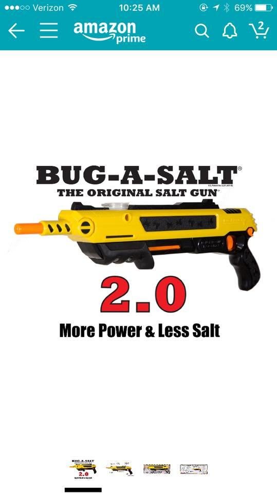 Waiting for my new toy to arrive. No more pesty flying critters.