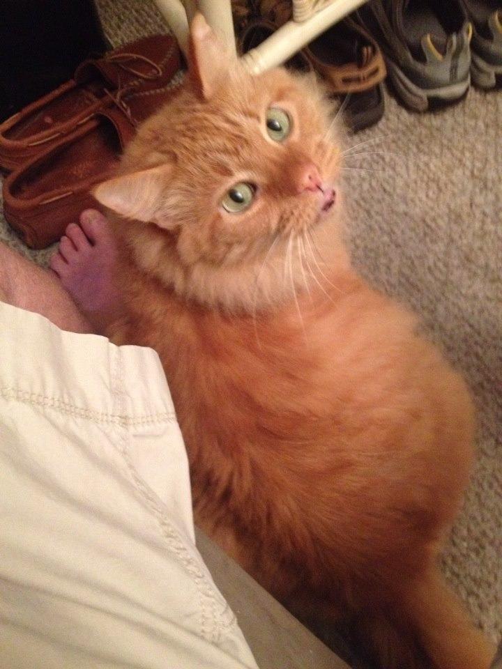 My pal .