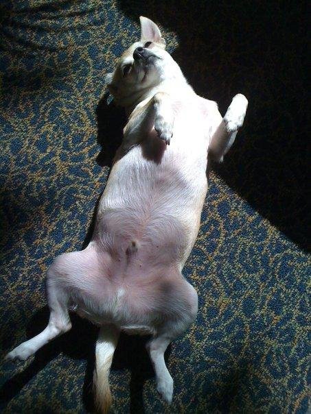 Patron is really rouging it while you're gone...