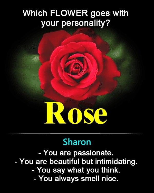 i love ROSES!