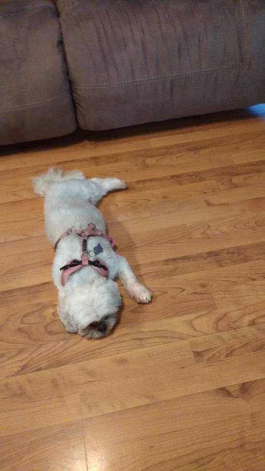 An afternoon at the salon is exhausting but necessary
