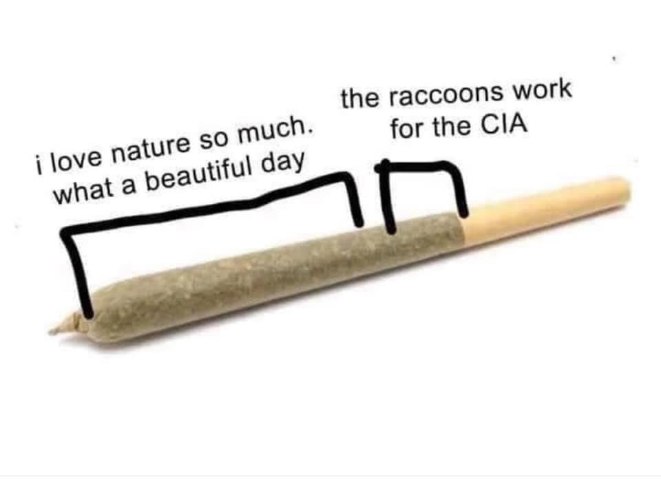🤣🤪🥸🤓😎