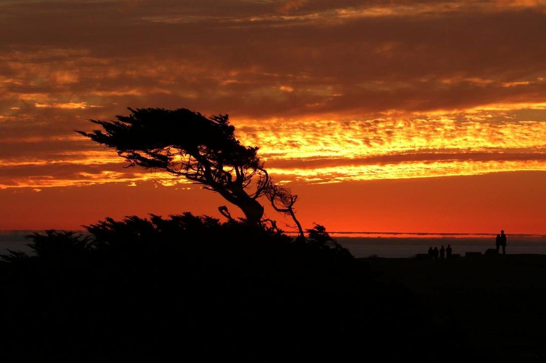 More from Bodega. The sky was on fire.