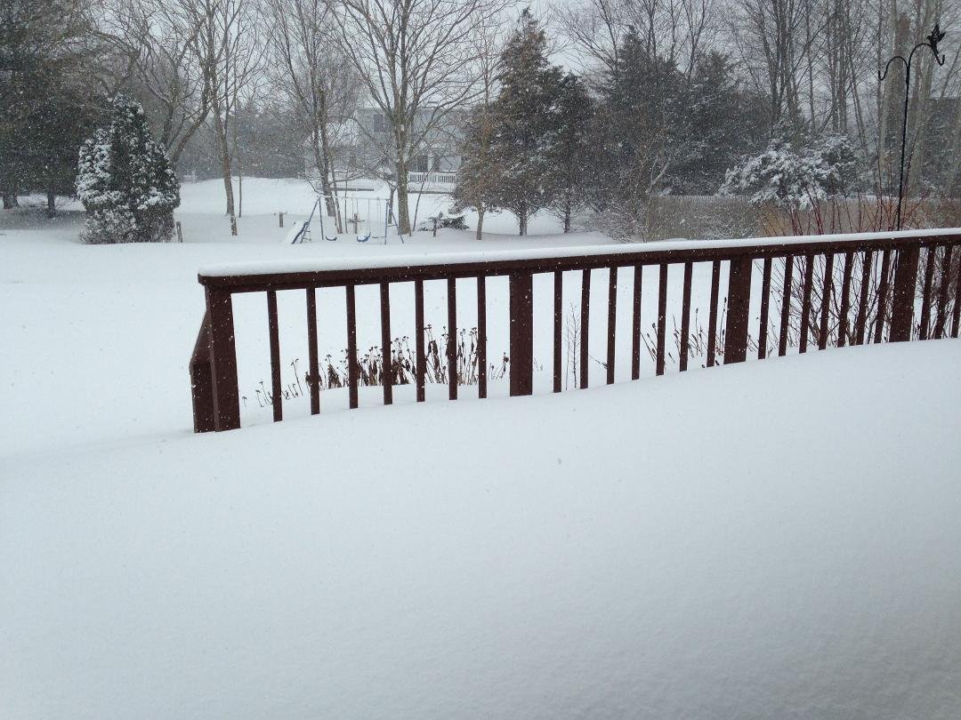 Janice LoRusso's album, Timeline Photos