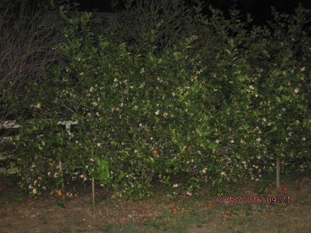 Ruth Field's album, Timeline Photos