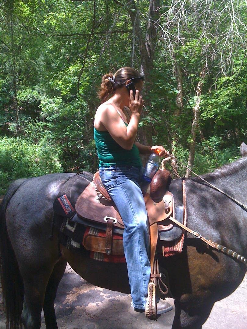 Haley Warren's album, HORSES