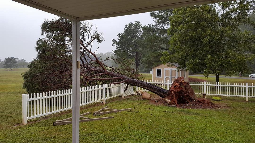 Loss big pine tree yesterday abt 2 pm . Watched it go down. Missed housed by 30 ft. Or would have cut house in half. No power but all is well.