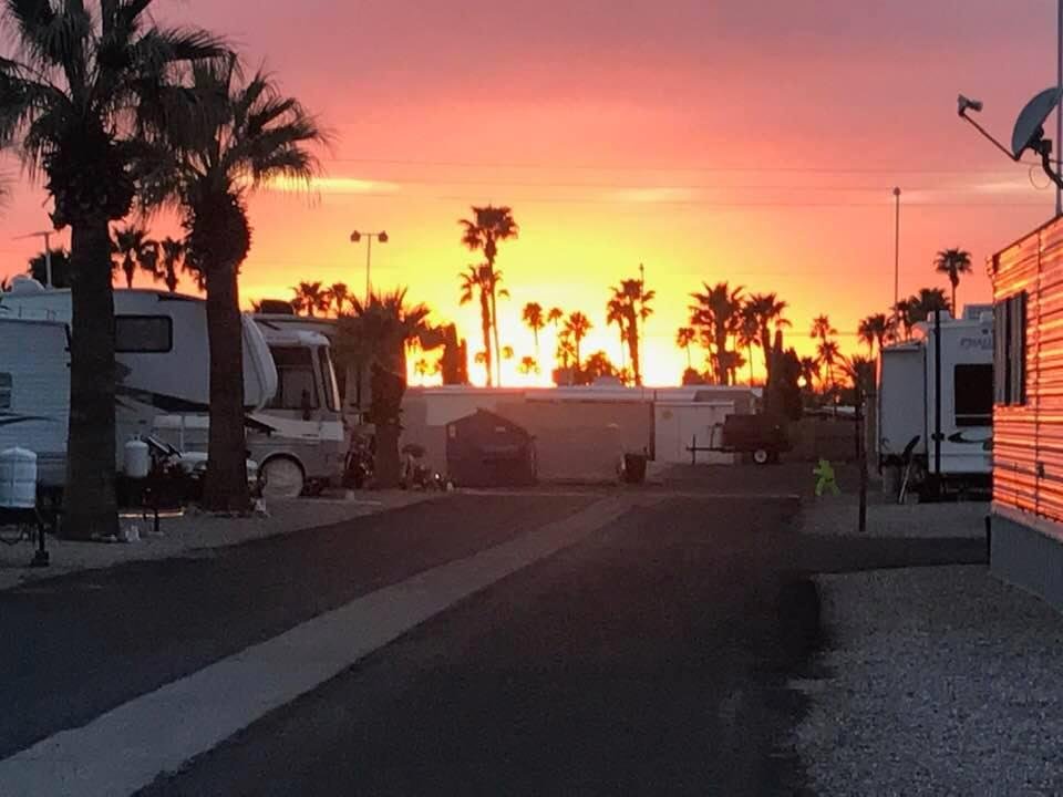 Another pretty one!!