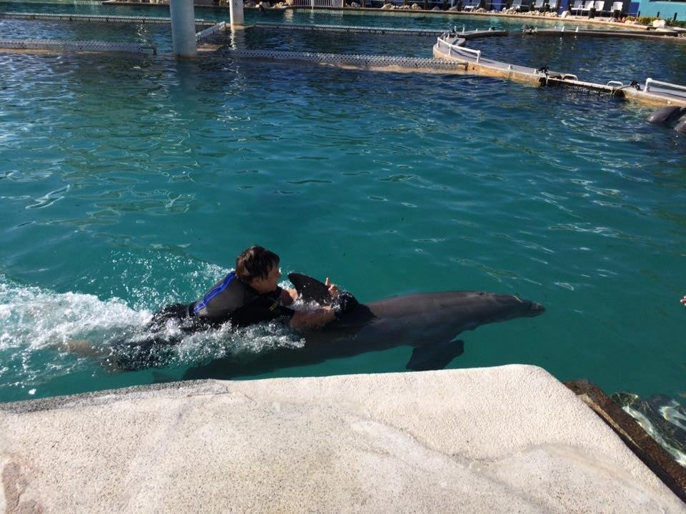 Me swimming with dolphin.