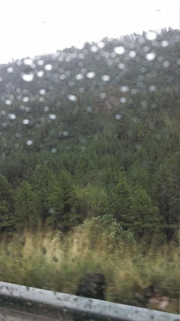 Raining...was in the clouds on 89A.