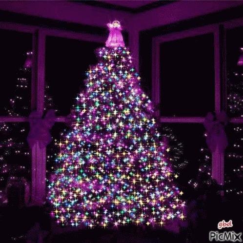 Merry Christmas to all of my dear family and friends here! I am so grateful for you all.