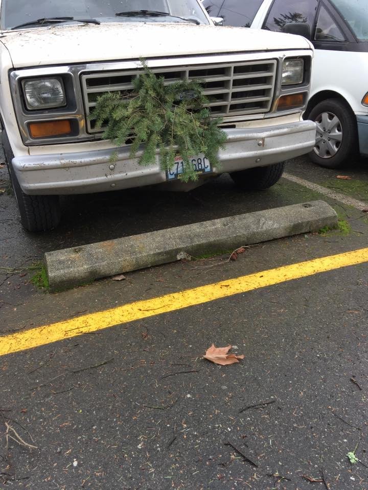 This made me laugh - hopefully there’s no damage to this old truck.