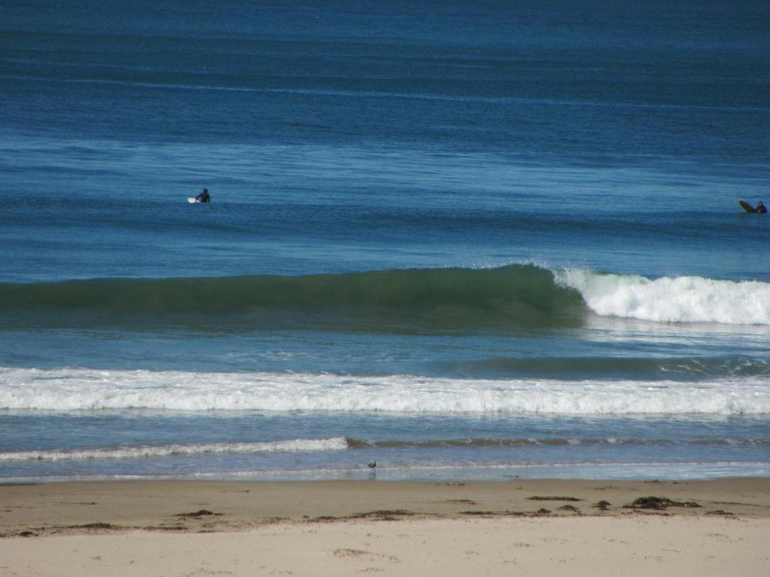Scott Minnoch's album, central coast pics