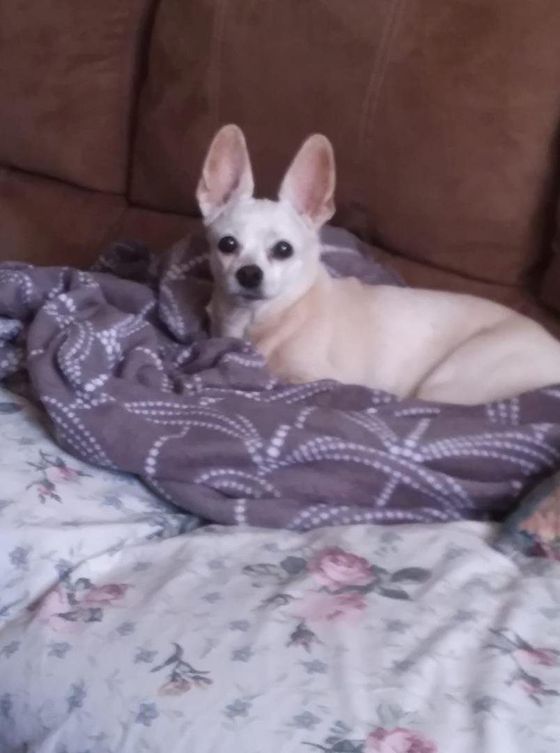 Happy birthday to "Sushi" @ 13!