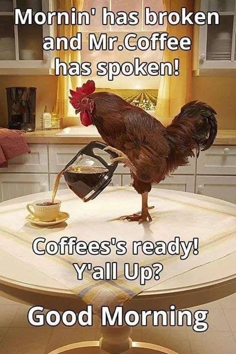Have a Great Day ☕️🤠