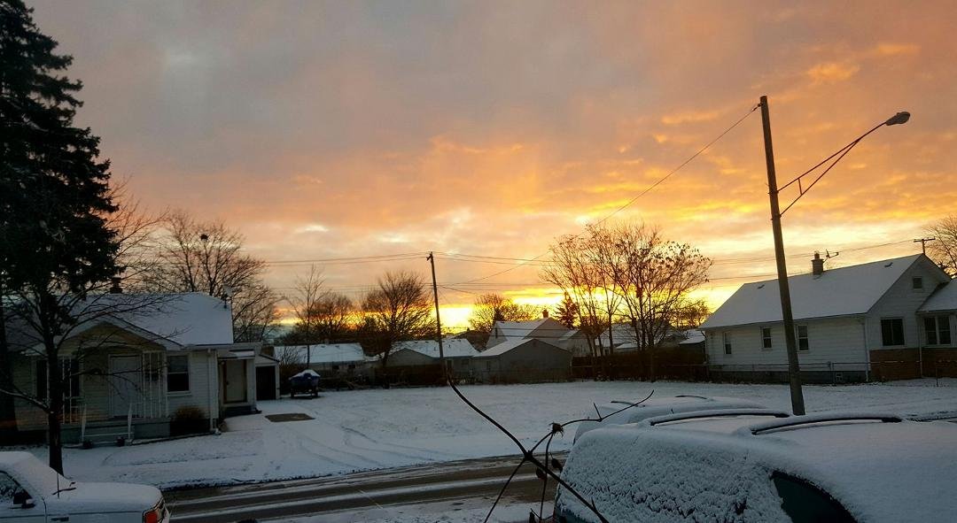 Just had to capture some sunshine this morning in Michigan. It's been too long since we've seen any. 😎