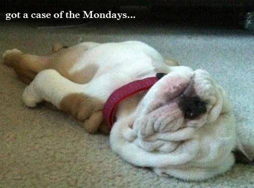 Dave Barger's album, Timeline Photos