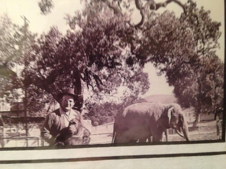 Joe Lecoe's album, Mobile Uploads