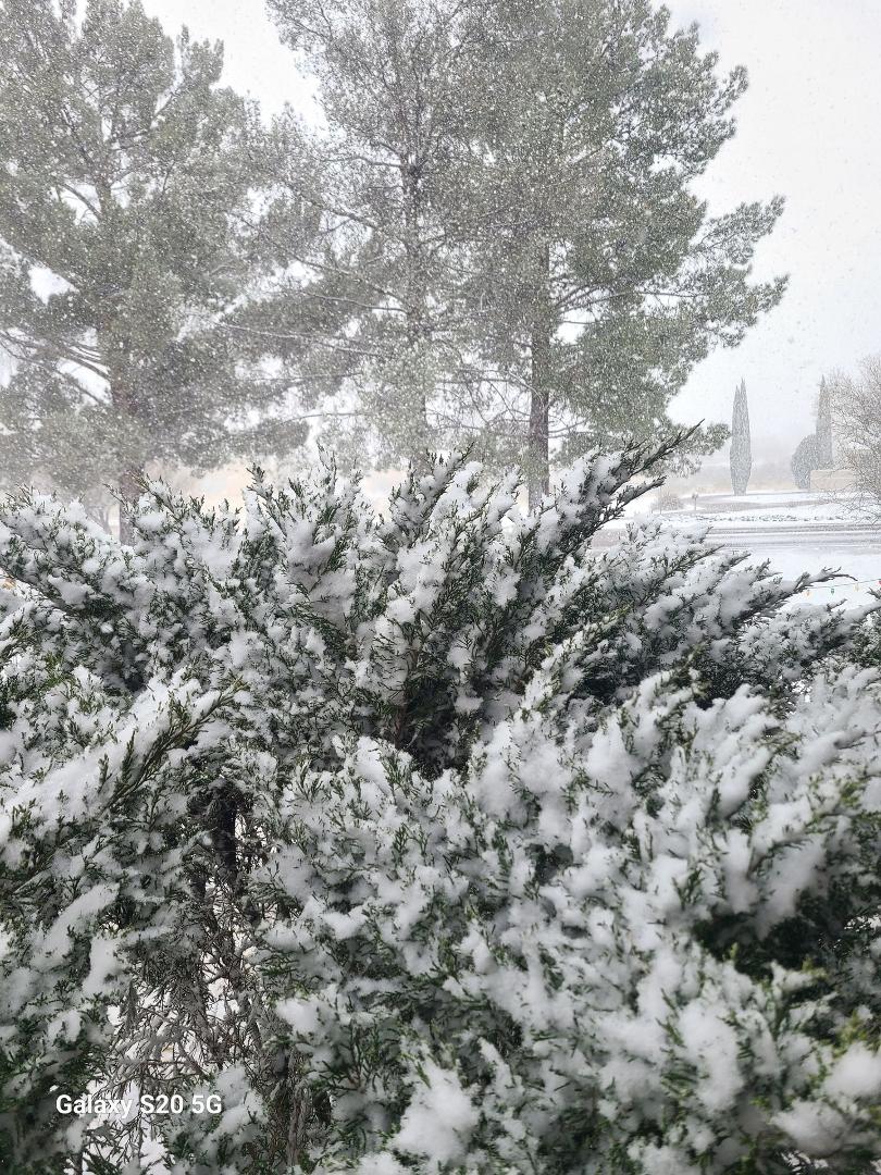 Is currently not summer. Taken from the driveway.