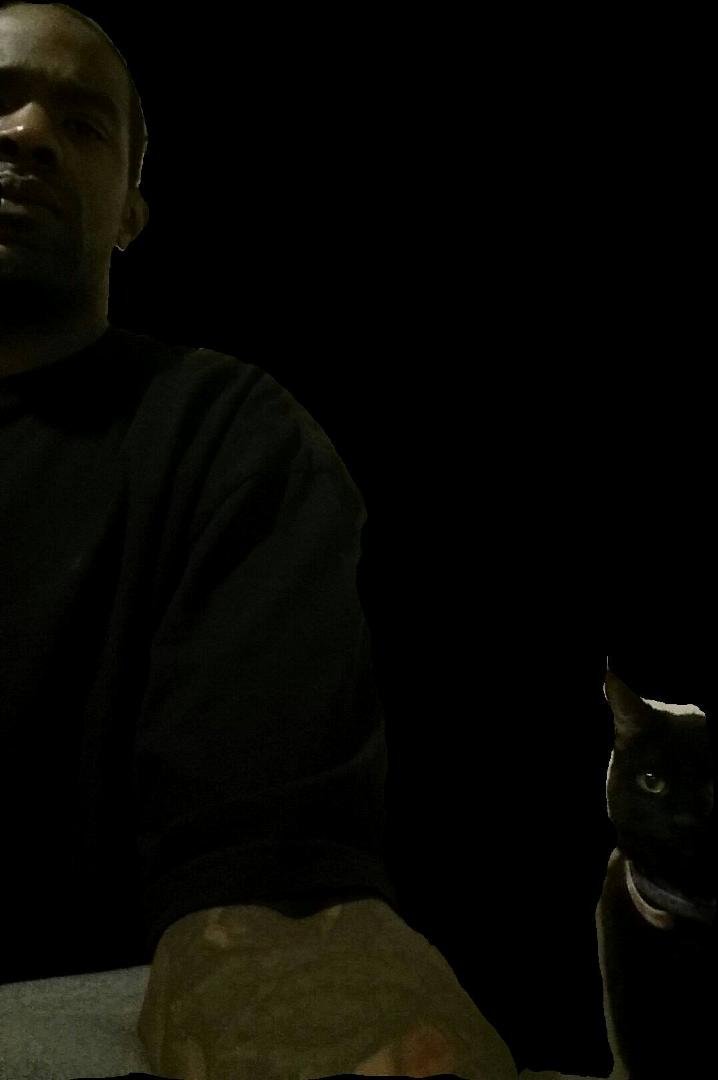 Reginald Rizer's album, Mobile Uploads