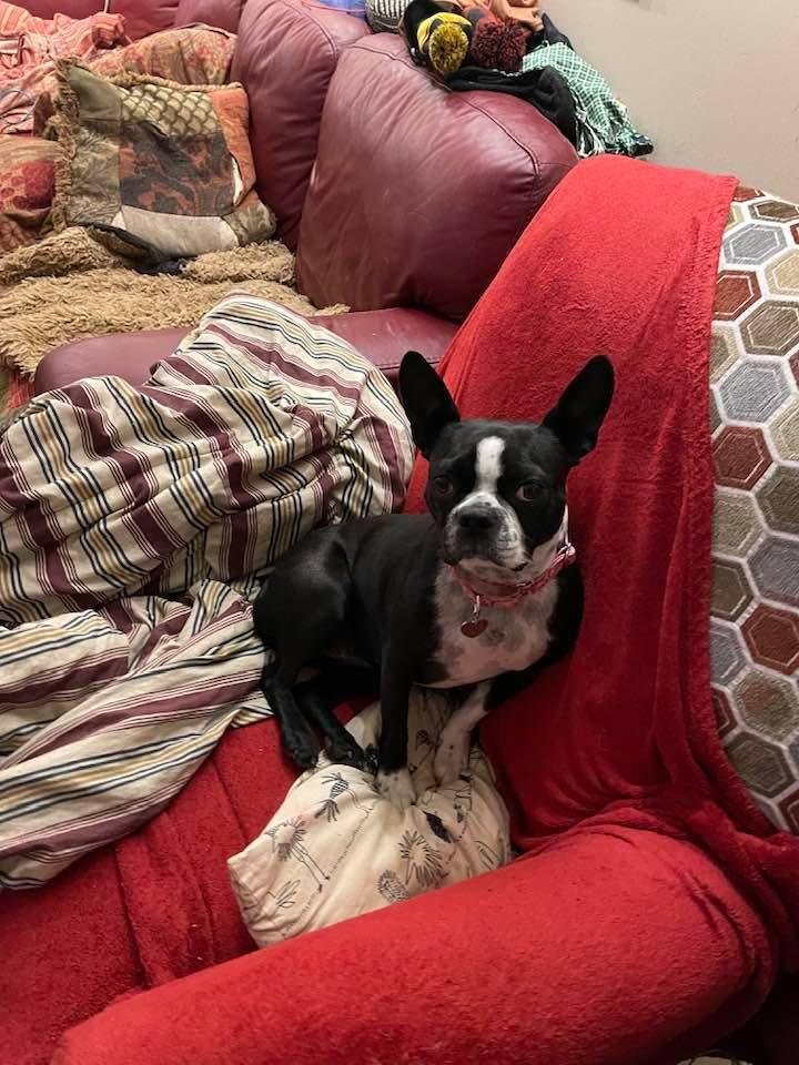 My little Rosie…
