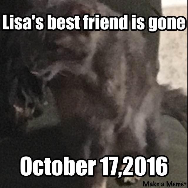 20 years. Winston was loyal as her best friend
#makeameme