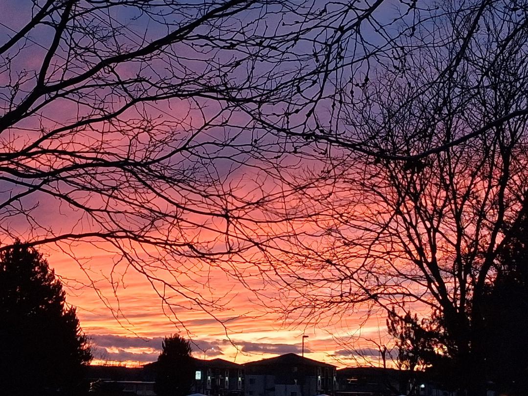 No snow but what a sunset!