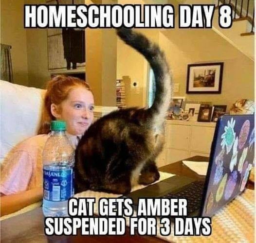 😂😂😂😂😂😂