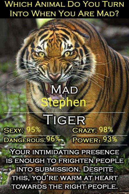 big cats are dangerous