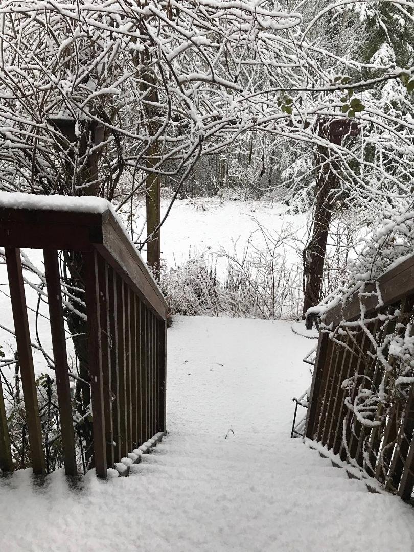 This is what I woke up to this morning! Appreciating it now, it will soon disappear.