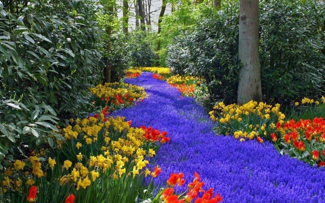 I would like to go there...