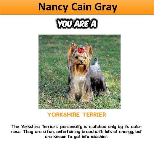 Nancy Cain's album, What Dog Are You? Photos