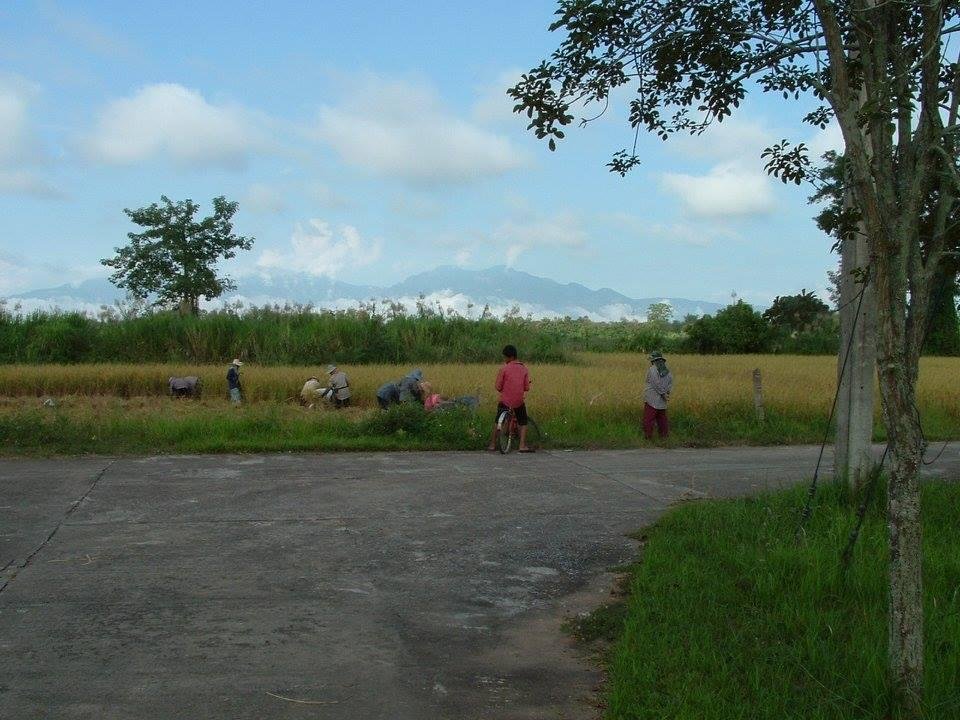 Randy Higley's album, Thailand Mission