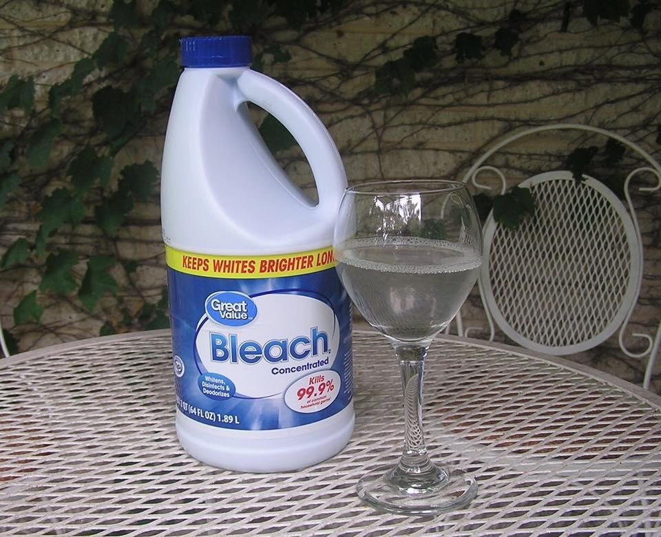 Let’s party! Bottoms up!