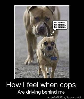Robert McKerreghan's album, Timeline Photos