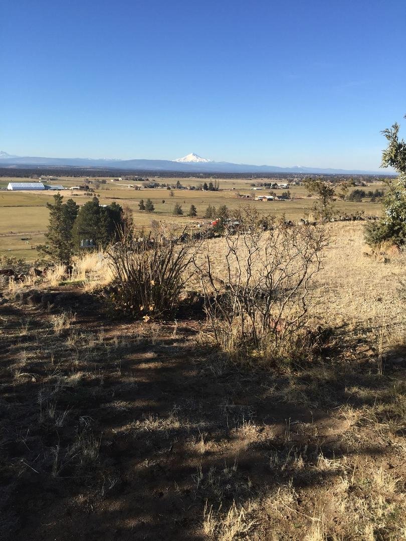 The tiny white dot is snow covered mountains when we look at it looks 5 miles away!
The cat is Maudee
