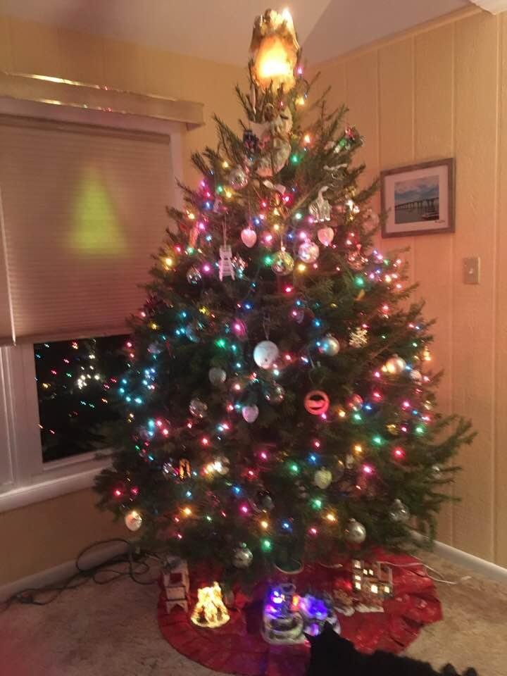 Christmas Tree 2018 😊🎄