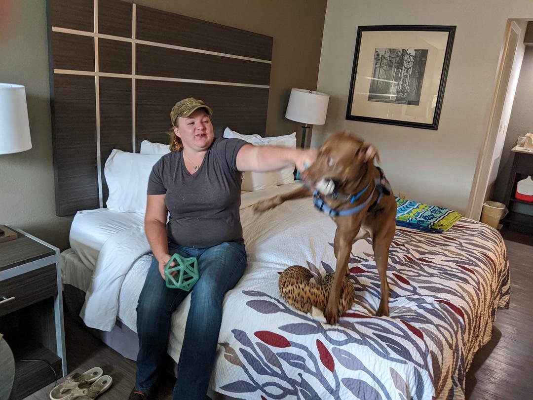 Brownie is having great time with our granddaughter while we are visiting her in Tennessee.