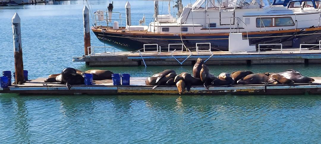 A crowd gathering at Dana Point Harbor today.