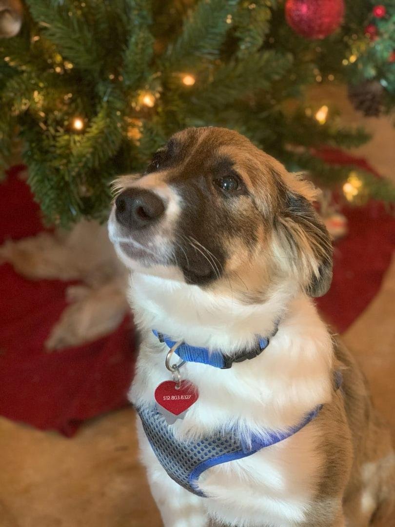 Hi I'm Sam, Merry Christmas to all and a Happy New Year.