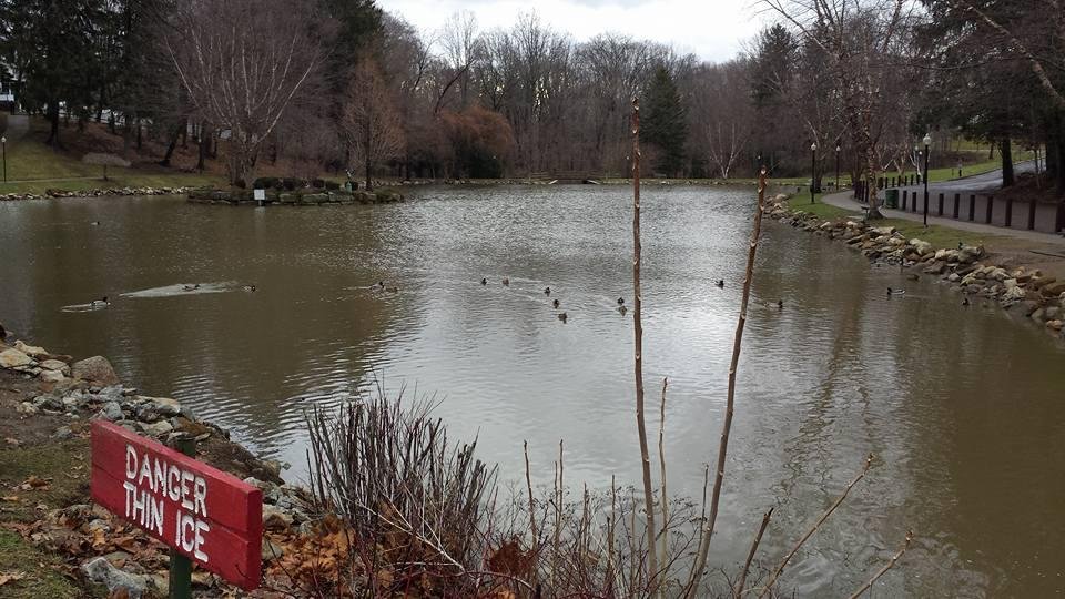 January 17 at Silver Park, ,,56 degrees, ,,, yea,, Thin Ice.